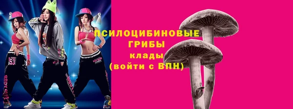 соль курить ск Надым