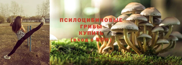 соль курить ск Надым