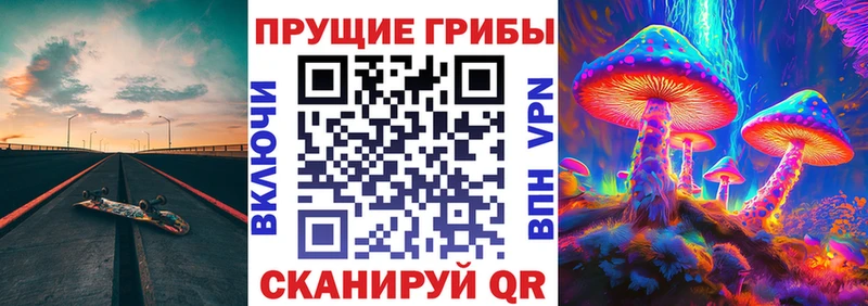 Псилоцибиновые грибы Psilocybine cubensis  Россошь 