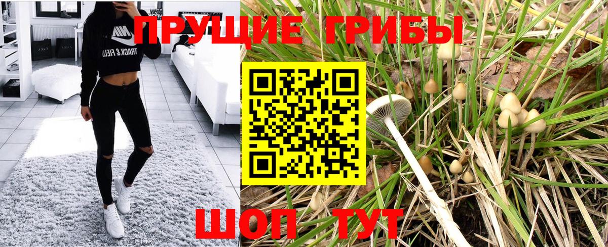 Россошь  Галлюциногенные грибы MAGIC MUSHROOMS  Вход с VPN 