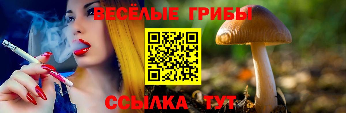 Псилоцибиновые грибы GOLDEN TEACHER Россошь