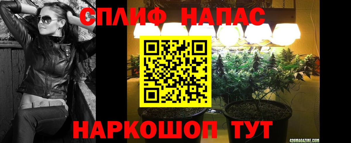 Россошь  Бошки Шишки White Widow  Конопля White Widow  Вход с VPN 